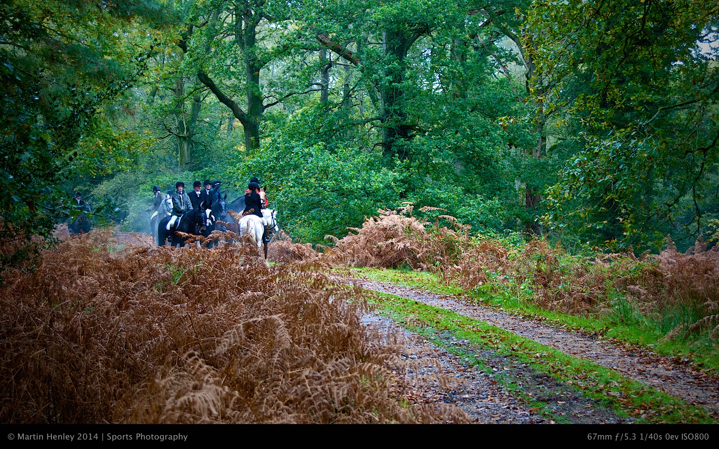 Hunt New Forest Photos  113 2008-11-01